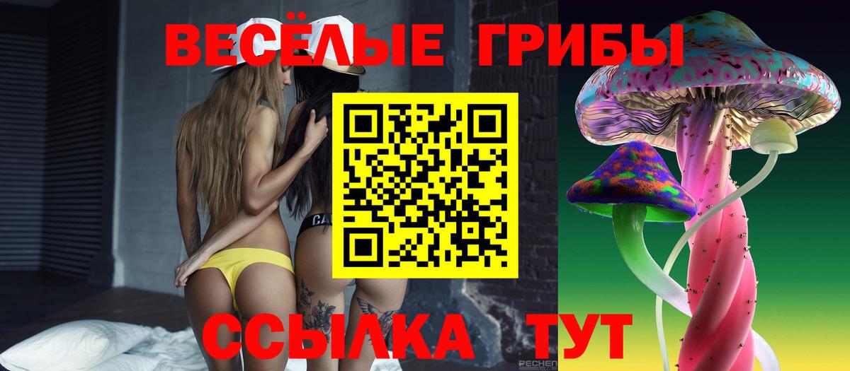 Галлюциногенные грибы GOLDEN TEACHER Губкин