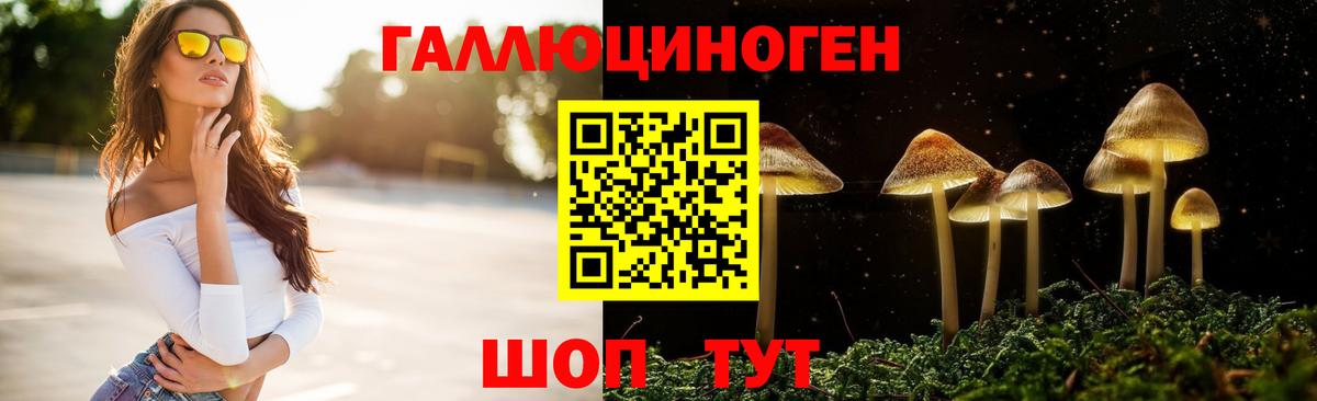 Галлюциногенные грибы Magic Shrooms  Вход с VPN  Губкин  Псилоцибиновые грибы мухоморы 